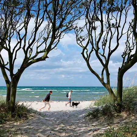 Feriehus Reetdachhaus Hus Achtern *